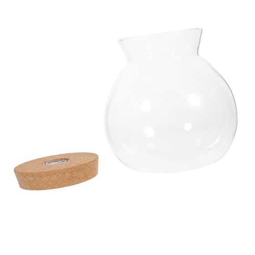 LOORGVEL Led-glasflasche mit Led-licht Langlebiges Borosilikatglas Dekorative Mikro-Landschaft für DIY-fischflaschen Ökologisches Flaschengarten-Motiv Geeignet für Zimmer und Büro LOORGVEL Led-glasflasche mit Led-licht Langlebiges Borosilikatglas Dekorative Mikro-Landschaft für DIY-fischflaschen Ökologisches Flaschengarten-Motiv Geeignet für Zimmer und Büro von LOORGVEL