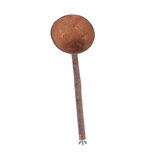 LOORGVEL Natürliche Kokosnussschale Futternapf mit Standstab Langlebig Vogelspielzeug und Nest Geeignet für Papageien und Wellensittiche Attraktives Design von LOORGVEL