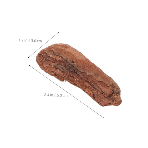 LOORGVEL Natürliche Terrarium Rindenmulch Dekoration Grobe Baumrinden Chips Reptilien Substrat Sicher für Schildkröten Echsen und Kleintiere Rustikales Einstreu für Terrarien Zubehör von LOORGVEL