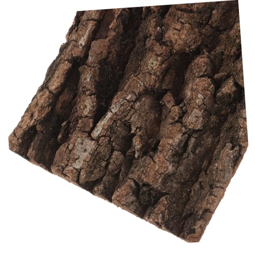 LOORGVEL Natürliches Korkrinden Hintergrundpaneel für Terrarium Reptilien Geckos Echsen Spinnen Bartagamen Habitatgestaltung Pflegeleicht LOORGVEL Natürliches Korkrinden Hintergrundpaneel für Terrarium Reptilien Geckos Echsen Spinnen Bartagamen Habitatgestaltung Pflegeleicht von LOORGVEL