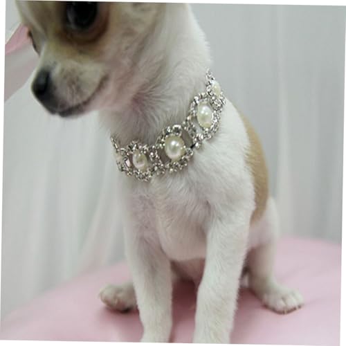 LOORGVEL Perlen Funkelndes Hundehalsband Modisches Schmuck hundekettenhalsband Langlebiges Haustier Accessoire für Welpen und Große Hunde Geschenk für Haustiergeburtstag und Party von LOORGVEL