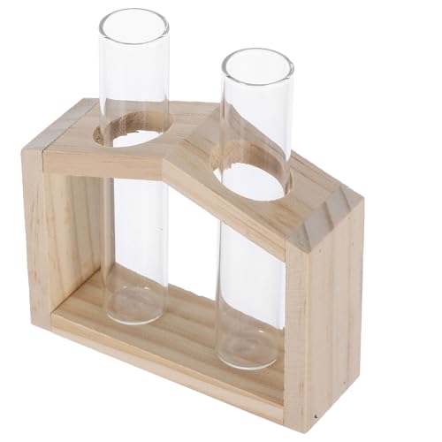LOORGVEL Reagenzglas Hydroponikvase Pflanzenvasen Hydroponik Pflanzgefäße Kleine Klare Vase Einzigartige Vase Dekorative Vase Reagenzglas Blumenhalter Anzuchtvase von LOORGVEL