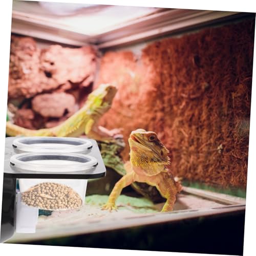 LOORGVEL Reptilien Futterstation mit Saugnapf Stabiles Wandmontage Design Futterbehälter mit Abnehmbaren Näpfen Platzsparend Leichtes Langlebiges Material für Echsen und Amphibien LOORGVEL Reptilien Futterstation mit Saugnapf Stabiles Wandmontage Design Futterbehälter mit Abnehmbaren Näpfen Platzsparend Leichtes Langlebiges Material für Echsen und Amphibien von LOORGVEL