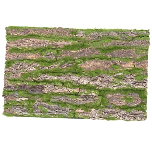 LOORGVEL Reptilien Kletterrinde aus Natürlicher Baumrinde Langlebige Terrarien deko rutschfeste Klettermatte für Eidechsen Geckos Chamäleons Geeignet als Terrarien Zubehör für Reptilien LOORGVEL Reptilien Kletterrinde aus Natürlicher Baumrinde Langlebige Terrarien deko rutschfeste Klettermatte für Eidechsen Geckos Chamäleons Geeignet als Terrarien Zubehör für Reptilien von LOORGVEL