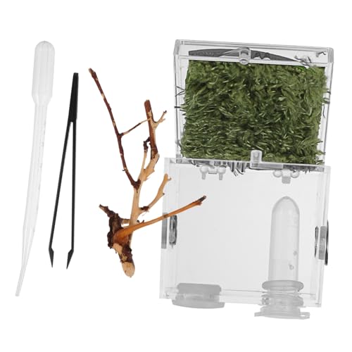 LOORGVEL Reptilien Terrarium mit Belüftungslöchern Sichere und Langlebige Zuchtbox für Kleine Spinnen und Reptilien Transparentes Gehege für Artgerechte Haltung und Atmungsaktivität LOORGVEL Reptilien Terrarium mit Belüftungslöchern Sichere und Langlebige Zuchtbox für Kleine Spinnen und Reptilien Transparentes Gehege für Artgerechte Haltung und Atmungsaktivität von LOORGVEL