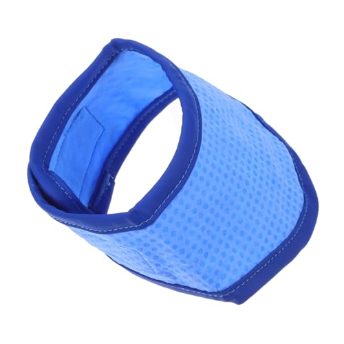 LOORGVEL Sommerliches Kühlbandana für Hunde Atmungsaktives Verstellbares Kühlhalsband in Blau S Bequemes Leichtes Hundezubehör für Hitzeabkühlung und Modisches Haustier Accessoire von LOORGVEL