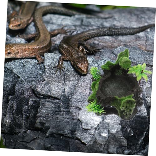 LOORGVEL Terrarium Wasserschale Reptilien Futternapf Verschleißfest Futter Wasserschale für Schildkröten und Eidechsen Glatte Oberfläche Temperaturbeständig für Terrarienpflege von LOORGVEL