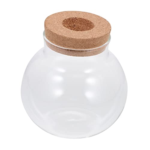 LOORGVEL Terrarium mit Deckel DIY Fischglas für Sukkulenten und Moos Langlebige Transparente Pflanzflasche für Kreative Landschaften im Wohn und Bürobereich LOORGVEL Terrarium mit Deckel DIY Fischglas für Sukkulenten und Moos Langlebige Transparente Pflanzflasche für Kreative Landschaften im Wohn und Bürobereich von LOORGVEL