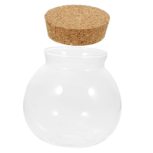 LOORGVEL Terrarium mit Korkdeckel Moosökologische Flasche für Hydrokulturpflanzen Dekorative Tischvase DIY Mikrolandschaftsflasche von LOORGVEL