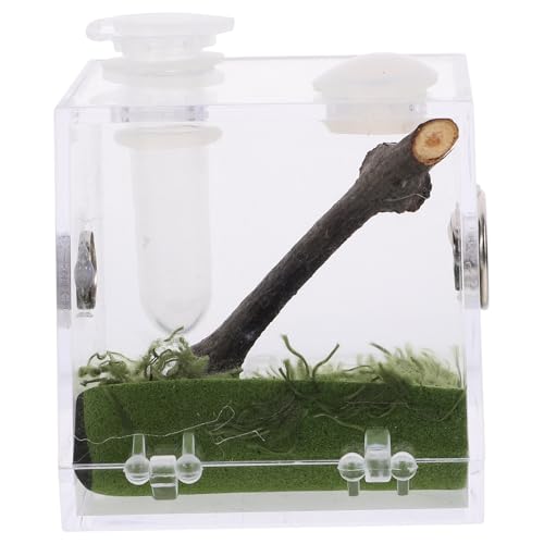 LOORGVEL Transparente Acryl Aufzuchtbox für Springspinnen und Insekten Belüftete Futterbox als Terrarium für Spinnenhaltung und Beobachtung Mittelgroße Habitat Box für Kriechtiere LOORGVEL Transparente Acryl Aufzuchtbox für Springspinnen und Insekten Belüftete Futterbox als Terrarium für Spinnenhaltung und Beobachtung Mittelgroße Habitat Box für Kriechtiere von LOORGVEL