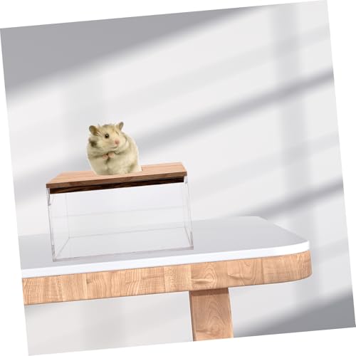 LOORGVEL Transparente Wiederverwendbare Sand badbox für Hamster und Kleine Haustiere Kleiner Langlebiger Hamster badebereich mit Einfacher Reinigung und Praktischem Design für Chinchillas von LOORGVEL