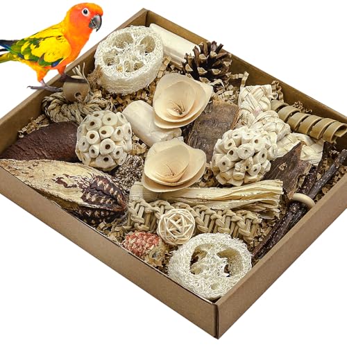 LOPERDEVE Natürliches Vogelspielzeug, Futtersuche, Papageien, Spielzeug für Nymphensittiche, Sittiche, Wellensittiche, kleine und mittelgroße Vögel (Naturfarbe) von LOPERDEVE