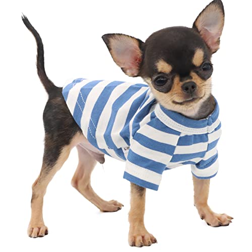 LOPHIPETS 100% Baumwolle gestreiftes Hunde-T-Shirt für kleine Hunde, Teetasse, Chihuahua, Yorkie, Welpen, Kleidung, Tank-T-Shirt, Blau und Weiß gestreift/XS von LOPHIPETS