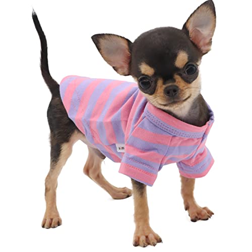 LOPHIPETS 100 % Baumwolle gestreiftes Hunde-T-Shirt für kleine Hunde, Teetasse, Chihuahua, Yorkie, Welpen, Kleidung, Tank-T-Shirt, lila und rosa Streifen/XS von LOPHIPETS