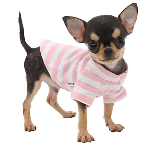 LOPHIPETS 100 % Baumwolle gestreiftes Hunde-T-Shirt für kleine Hunde, Teetasse, Chihuahua, Yorkie, Welpen, Kleidung, Tank-T-Shirt, rosa und weiße Streifen/XS von LOPHIPETS