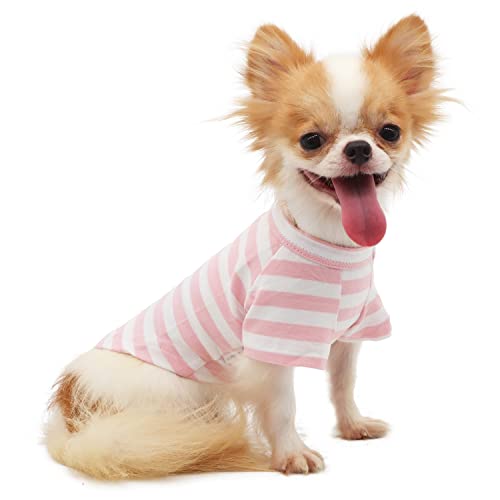 LOPHIPETS 100 % atmungsaktive Baumwolle gestreiftes Hunde-T-Shirt für kleine Hunde, Chihuahua, Welpenkleidung, rosa und weiße Streifen/M von LOPHIPETS