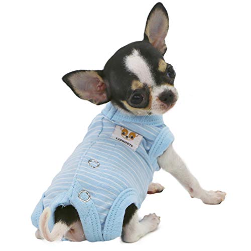 LOPHIPETS Cambridge Hunde-Shirt, für kleine Teetasse, Hunde, Chihuahua, Yorkie, Welpen, Katzen, Blaue Streifen, XXS von LOPHIPETS