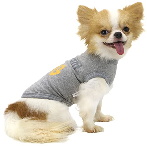 LOPHIPETS Dog All I Want is A Hug Letter Print Shirts für kleine Hunde Bichon Kleidung Tee-Grau/XL von LOPHIPETS