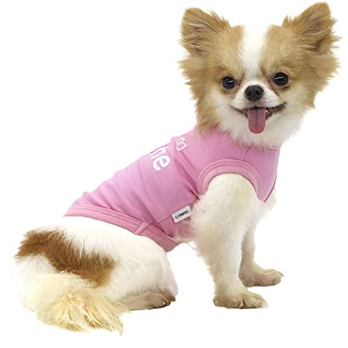 LOPHIPETS Dog I'm Kind to Everyone Letter Print Shirts für kleine Hunde Pomeranian Kleidung Weste Tee-Pink/L von LOPHIPETS
