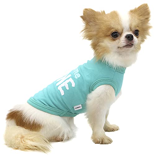 LOPHIPETS Dog Leave Me Alone Letter Print Shirts für kleine Hunde Bichon Kleidung Tee-Blau/XL von LOPHIPETS