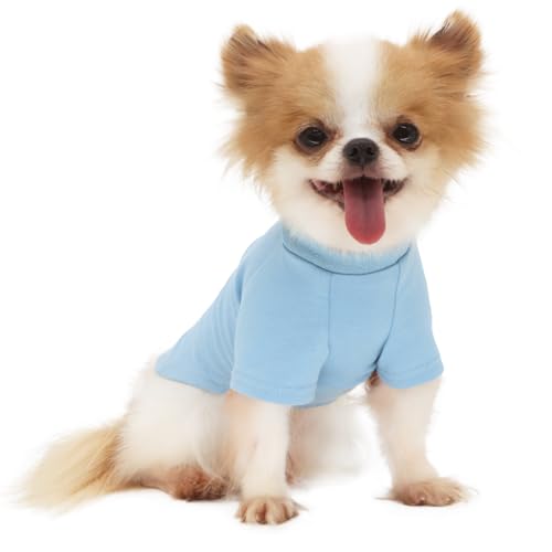 LOPHIPETS Everyday Kurzärmeliges Hunde-T-Shirt aus weicher Baumwolle, für ausgewachsene Chihuahuas und kleine Hunderassen, passend für 2-2,9 kg, Blau, Größe M von LOPHIPETS