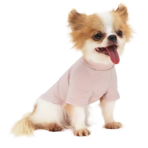 LOPHIPETS Everyday Kurzärmeliges Hunde-T-Shirt aus weicher Baumwolle, für ausgewachsene Chihuahuas und kleine Hunderassen, passend für 2-2,9 kg, Rosa, Größe M von LOPHIPETS