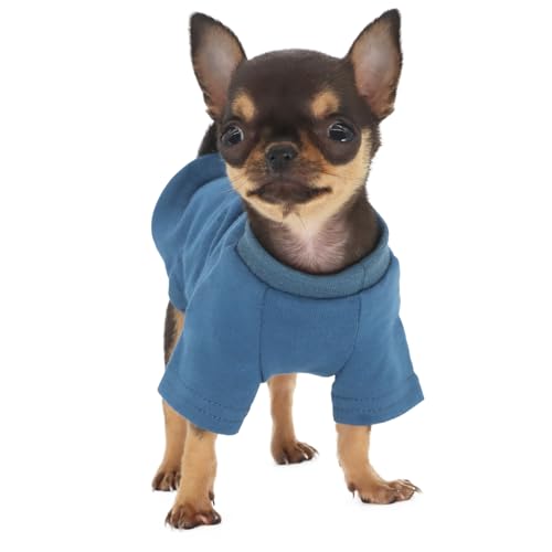 LOPHIPETS Everyday Kurzärmeliges T-Shirt für Chihuahuas, Teetasse, Welpen und kleine Hunderassen, weiche Baumwolle, passend für 0,2–0,5 kg, Marineblau, Größe XXS von LOPHIPETS