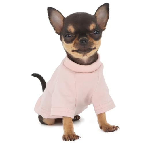 LOPHIPETS Everyday Kurzärmeliges T-Shirt für Chihuahuas, Teetasse, Welpen und kleine Hunderassen, weiche Baumwolle, passend für 0,2–0,5 kg, Rosa, Größe XXS von LOPHIPETS