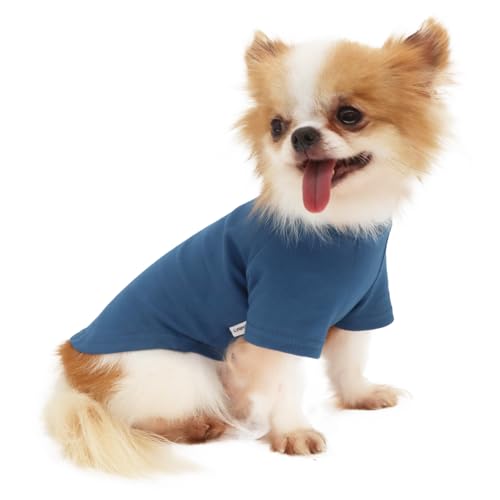 LOPHIPETS Everyday Kurzärmeliges T-Shirt für kleine Hunderassen, weiche Baumwolle, passend für 4,5–6,4 kg, Marineblau, Größe XL von LOPHIPETS