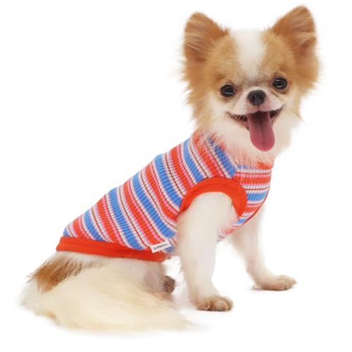 LOPHIPETS Geripptes Hunde-Shirt aus 100 % Baumwolle, für kleine Hunde, Chihuahua, Welpen, Kleidung, Tank-T-Shirt, Rot, Größe XL LOPHIPETS Geripptes Hunde-Shirt aus 100 % Baumwolle, für kleine Hunde, Chihuahua, Welpen, Kleidung, Tank-T-Shirt, Rot, Größe XL von LOPHIPETS