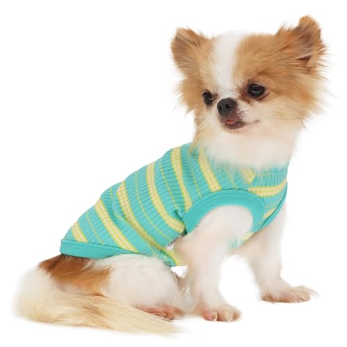 LOPHIPETS Geripptes Hunde-Shirt aus 100 % Baumwolle, für kleine Hunde, Chihuahua, Welpen, T-Shirt, Grün/Größe M von LOPHIPETS