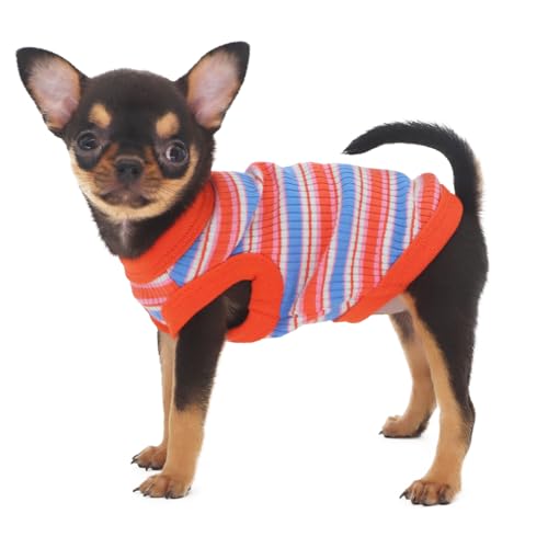 LOPHIPETS Geripptes Hunde-Shirt aus 100 % Baumwolle, für kleine Hunde, Teetasse, Chihuahua, Yorkie, Welpen, Tank, Rot, Größe XS LOPHIPETS Geripptes Hunde-Shirt aus 100 % Baumwolle, für kleine Hunde, Teetasse, Chihuahua, Yorkie, Welpen, Tank, Rot, Größe XS von LOPHIPETS