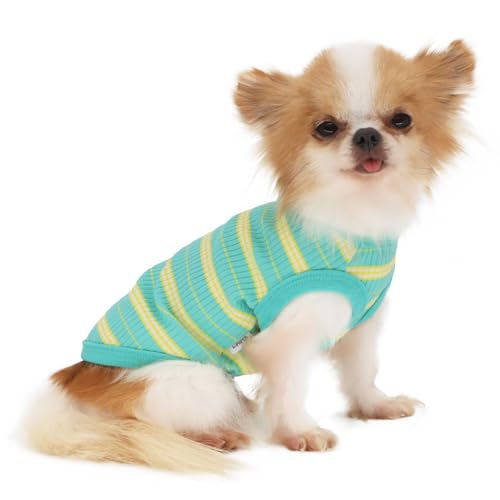 LOPHIPETS Geripptes Hunde-Shirt für kleine Hunde, 100 % Baumwolle, Teetasse, Chihuahua, Yorkie, Welpen, Tank, Größe S, Grün/S von LOPHIPETS