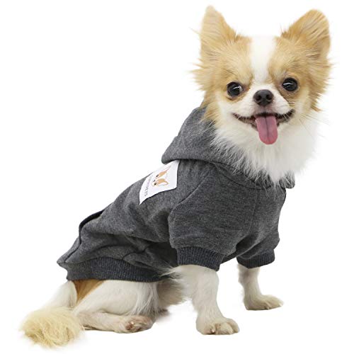 LOPHIPETS Hunde-Kapuzenpullover aus Baumwolle, für kleine Hunde, Chihuahua, Welpen, für kaltes Wetter, Anthrazit/XL von LOPHIPETS