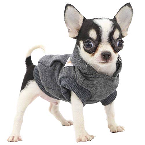 LOPHIPETS Hunde-Kapuzenpullover aus Baumwolle, für kleine Hunde, Chihuahua, Welpen, für kaltes Wetter, Anthrazit/XS von LOPHIPETS