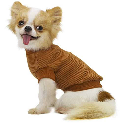 LOPHIPETS Hunde-Pullover für kleine Hunde, Welpen, Chihuahua, Yorkie, kaltes Wetter, Gelb/L von LOPHIPETS