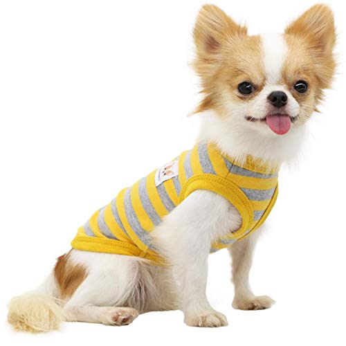 LOPHIPETS Hunde-Shirt, 100 % Baumwolle, gestreift, für kleine Hunde, Chihuahua, Welpen, Kleidung, Tanktop, gelbe und graue Streifen, Größe M von LOPHIPETS