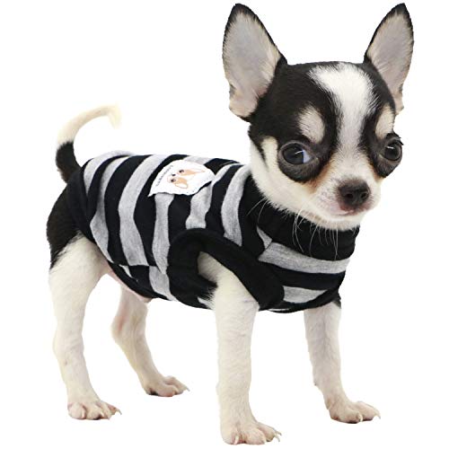 LOPHIPETS Hunde-Shirt, 100% Baumwolle, gestreift, für kleine Hunde, Chihuahua, Welpen, Tank-Top, Schwarz und Grau, Größe XXS von LOPHIPETS