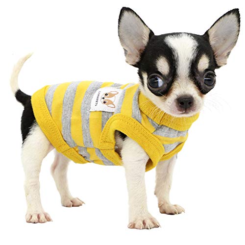 LOPHIPETS Hunde-Shirt, 100% Baumwolle, gestreift, für kleine Hunde, Chihuahua, Welpen, gelbe und graue Streifen, Größe XS von LOPHIPETS