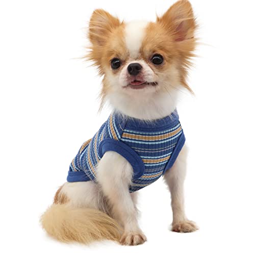 LOPHIPETS Hunde-Shirt aus 100 % gerippter Baumwolle, für kleine Hunde, Chihuahua, Welpen, Kleidung, Tank-T-Shirt, Blau/L von LOPHIPETS
