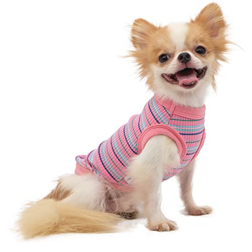 LOPHIPETS Hunde-Shirt aus 100 % gerippter Baumwolle, für kleine Hunde, Chihuahua, Welpen, Kleidung, Tank-T-Shirt, Rosa/M von LOPHIPETS