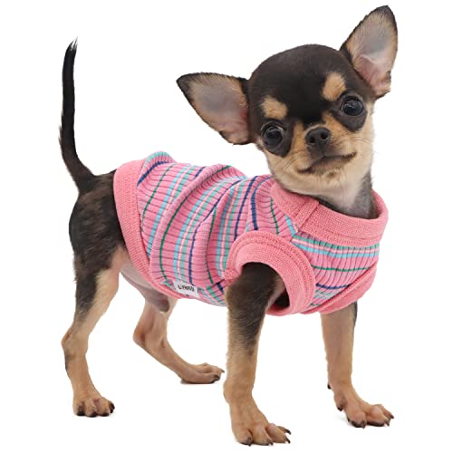 LOPHIPETS Hunde-Shirt aus 100 % gerippter Baumwolle, für kleine Hunde, Teetasse, Chihuahua, Yorkie, Welpen, Kleidung, Tank-T-Shirt, Pink/XS LOPHIPETS Hunde-Shirt aus 100 % gerippter Baumwolle, für kleine Hunde, Teetasse, Chihuahua, Yorkie, Welpen, Kleidung, Tank-T-Shirt, Pink/XS von LOPHIPETS