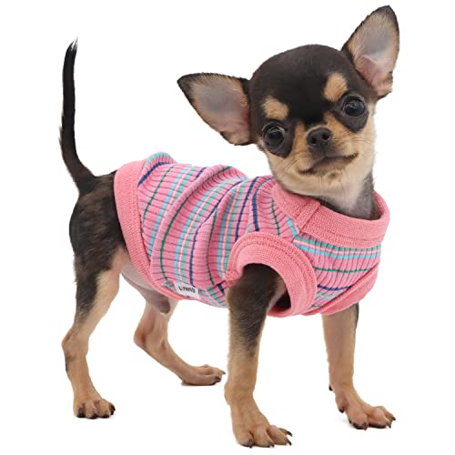 LOPHIPETS Hunde-Shirt aus 100 % gerippter Baumwolle, für kleine Hunde, Teetasse, Chihuahua, Yorkie, Welpen, Kleidung, Tank-T-Shirt, Pink/XS von LOPHIPETS