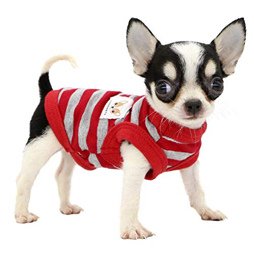 LOPHIPETS Hunde-Shirt für kleine Hunde, 100 % Baumwolle, gestreift, Rot und Grau von LOPHIPETS