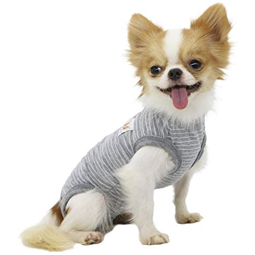 LOPHIPETS Hunde-Shirts für Mädchen, für kleine Hunde, Zwergspitz, Malteser-Spielzeug, Pudelgrau, Streifen/M von LOPHIPETS