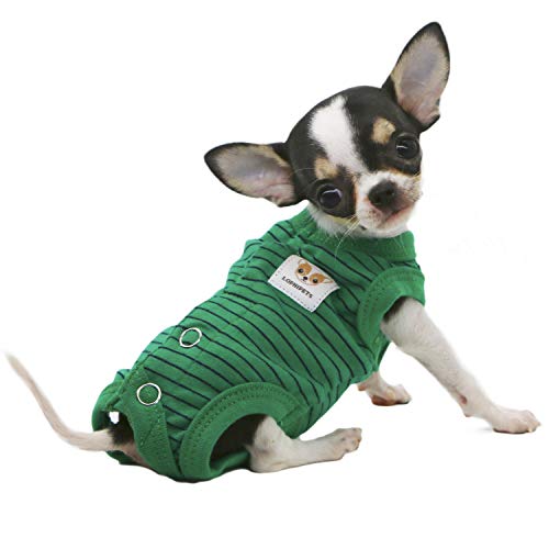 LOPHIPETS Hunde-Shirts für Mädchen, für kleine Teetasse, Hunde, Chihuahua, Yorkie, Welpen, Katzen, grüne Streifen, XS von LOPHIPETS