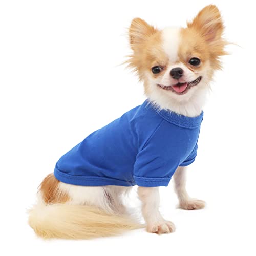 LOPHIPETS Hunde-T-Shirt aus 100 % Baumwolle, für kleine Hunde, Chihuahua, Welpenkleidung, Blau / M LOPHIPETS Hunde-T-Shirt aus 100 % Baumwolle, für kleine Hunde, Chihuahua, Welpenkleidung, Blau / M von LOPHIPETS