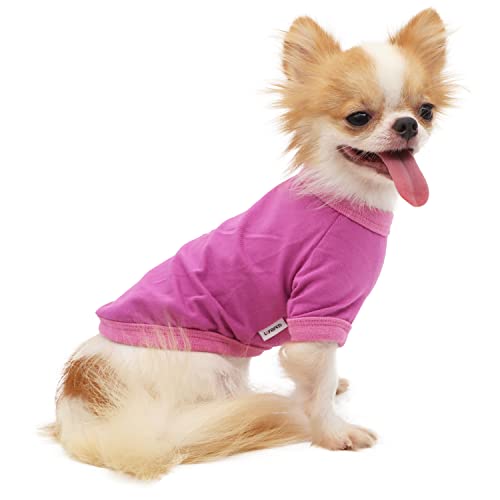 LOPHIPETS Hunde-T-Shirt aus 100 % Baumwolle, für kleine Hunde, Chihuahua, Welpenkleidung, Violett/M von LOPHIPETS