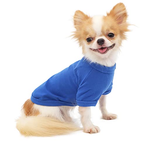 LOPHIPETS Hunde-T-Shirt aus 100 % Baumwolle, für kleine Hunde, Teetasse, Chihuahua, Yorkie, Welpenkleidung, Blau/S von LOPHIPETS