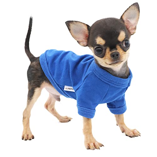 LOPHIPETS Hunde-T-Shirt aus 100 % Baumwolle, für kleine Hunde, Teetasse, Chihuahua, Yorkie, Welpenkleidung, Blau/XXS von LOPHIPETS